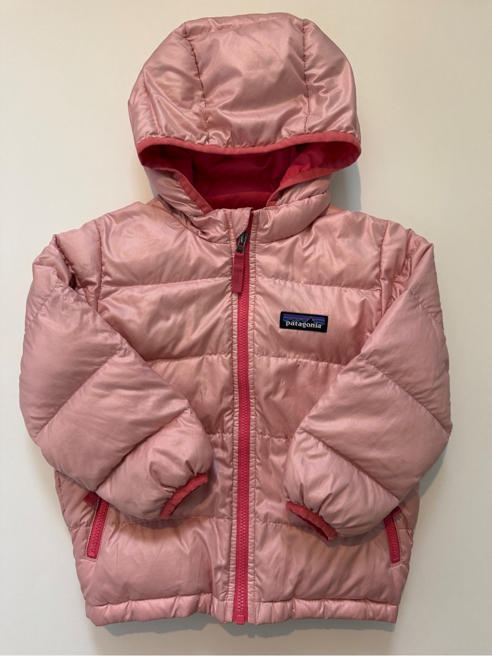 Patagonia Pink Hooded Puffer Jacket